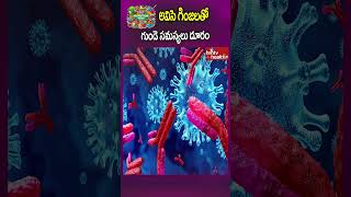 అవిసె గింజలతో గుండె సమస్యలు దూరం  heartproblems flaxseeds hmtvhealthplus [upl. by Hosbein]