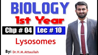 Lysosomes  Chapter 4  1st year Biology  Lec  10 [upl. by Carlen286]