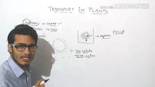 Plasmolysis explained in detail turgid  flaccid and plasmolysed cells [upl. by Nohs611]