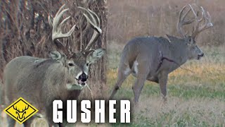 GUSHER  85yr Old Buck at 20 yards Graphic Warning [upl. by Arrek]