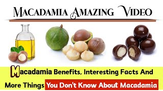 Macadamia queen of nuts  Macadamia nut Benefits  Macadamia Oil  Macadamia Health Benefits [upl. by Waal]