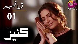 Kaneez  EP 1  Aplus  Ali Safina Fazila Qazi Asad Malik  Pakistani Drama  AP1  Aplus  CE1 [upl. by Flo850]