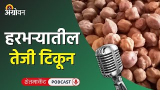 Cotton Soybean Market कापूस बाजारभाव सोयाबीन भाव कांदा बाजार गहू दर  Agrowon [upl. by Balfore66]