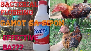 ZONROX PWEDENG GAMOT SA SIPON NG MANOK [upl. by Ripp]