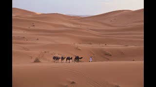 Viagem ao Marrocos  Passeio pelo Deserto do Saara [upl. by Eeldivad]