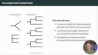 Phylogenetic trees the basics [upl. by Stilwell]