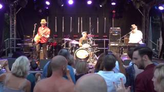 Chas amp Dave Live at Hampton Pool 2014 [upl. by Arikahs216]