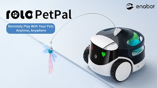 ROLA PetPal by Enabot Remotely Play With Your Pets  Anytime Anywhere [upl. by Muldon]