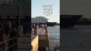 Schwarzer Humor auf Kreuzfahrtschiff ￼😂👀 humor kreuzfahrt meinschiff [upl. by Areid]