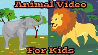 Animals for KIDS  Learn Animal Sounds  Kids Learning Videos [upl. by Oeniri]