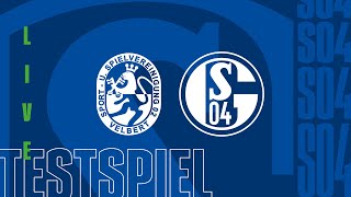 TESTSPIEL RELIVE  SSVg Velbert vs FC Schalke 04 [upl. by Enelyad750]