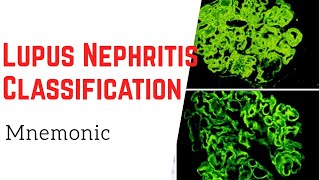 How to remember 6 classes of Lupus Nephritis Mnemonic [upl. by Malik]