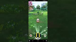 shiny hunting at some gave all 6624 pokemon [upl. by Ssegrub714]