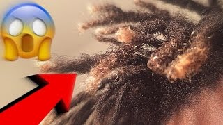 HOW TO MAINTAIN FREEFORMED HAIR  HOW TO TAKE CARE OF YOUR HAIR [upl. by Blasien]