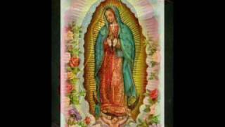 La Guadalupana [upl. by Lorelle]