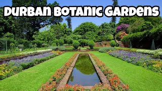 Durban Botanic Gardens  Walking Tour [upl. by Tsirc]