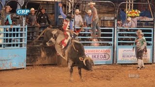 Rodeio de Pacaembu 2017  MELHORES MONTARIAS  SÁBADO [upl. by Lehcor976]