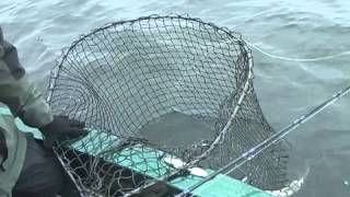 Musky Fishing Adventures – Keyes Outdoors 2012  ICE UP MUSKIES PART 2 [upl. by Khalid]