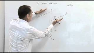 Instrukcije iz matematikeKolinearni vektori [upl. by Ahsinyt]