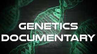 Genetics Documentary  The Best Documentary Ever [upl. by Atirak]