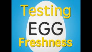 Testing Egg Freshness [upl. by Elocel366]