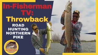 InFisherman Classics Road Hunting Big Manitoba Pike [upl. by Dwan]