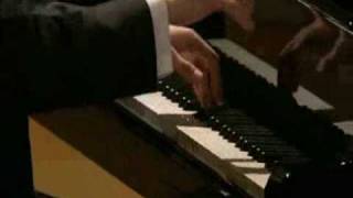 Stravinsky Igor Petroushka 3 parts piano solo begin [upl. by Ressay]