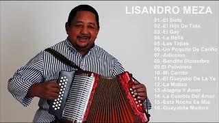 LISANDRO MEZA  16 Grandes Exitos Parranderos  Sus Mejores Canciones [upl. by Naujled470]