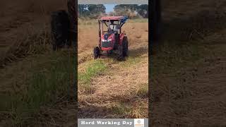 Hard Working Day 170 Dry Hay Spreader In The Field [upl. by Ariaek833]