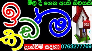 Low price land in Sri Lanka cheapest land  aduwata  aduwata idam  low budget  Idam Kadam [upl. by Rosabelle]