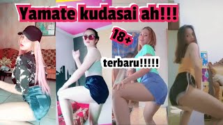 tiktok hot manado part 26 terbaruu parahh goyang lincah [upl. by Atinehs]