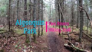 Algonquin Park  Two Rivers Trail amp Scenic Lookouts [upl. by Alaehs]