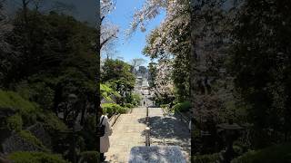 Ikegami Honmonji Temple Main Gate 池上本門寺総門 shorts [upl. by Nob]