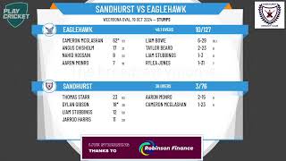 Sandhurst v Eaglehawk 1st XI Mens [upl. by Ocirema]