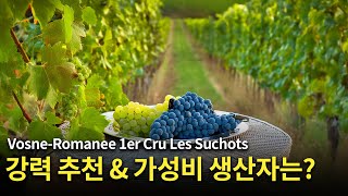 Engsub 본 로마네 레 슈쇼의 강력추천 amp 가성비 생산자 Vosne Romanee 1er Cru Les Suchots [upl. by Lleder]