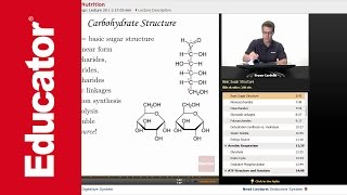 Metabolism and Nutrition [upl. by Jueta]