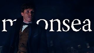 Newt Scamander  Moonsea [upl. by Dasa]