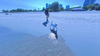 Chicago  Walking Sparkling Beach  4K  windycityilens [upl. by Brennan755]