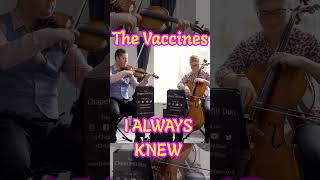 I Always Knew  The Vaccines Violin and cello cover [upl. by Ivz636]