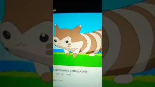 furret Walk but it keeps getting worse [upl. by Lena712]