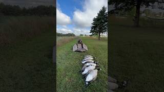 All New TideWe Waterfowl Layout Blind hunting huntingbuddy birdhunting [upl. by Valsimot]