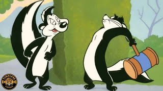 Pepe Le Pew Full Cartoon Compilation [upl. by Aerbua]