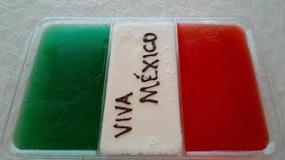 Gelatina Viva México  SinPretextos [upl. by Luttrell]