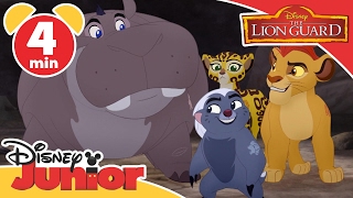 Kions Roar of the Elders  Bunga the Wise  Lion Guard Clip HD [upl. by Holey942]