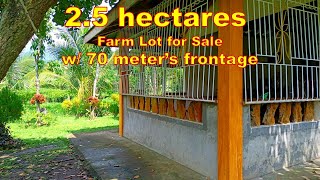 SOLD    FARM LOT FOR SALE PROP 152 2 HECTARES SAN PALO CITY LAGUNA [upl. by Akirdnuhs]