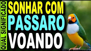 🔥 SONHAR COM PASSARO VOANDO Oque Significa Sonhar com Passarinho Significado Sonhar com Passaro [upl. by Alecia]