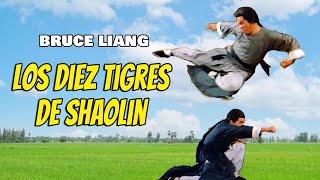 Wu Tang Collection  10 Tigers of Shaolin  Los Diez Tigres de Shaolin [upl. by Enorel620]