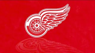 Detroit Red Wings 2024 Goal Horn [upl. by Mott]