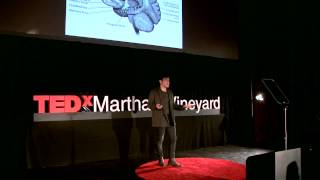 Auteurs in the ether  Alan Palomo  TEDxMarthasVineyard [upl. by Llednyl996]