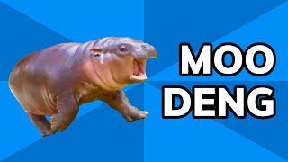 Moo Deng is the Cutest Hippo You’ve Ever Met  Meme History [upl. by O'Neill963]